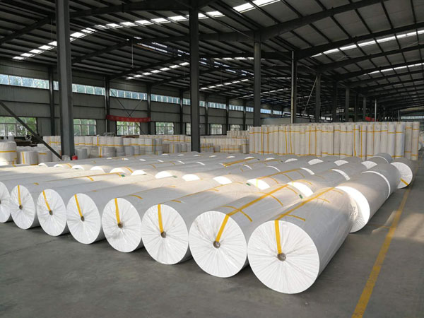 铅山狭缝式涤纶纺粘无纺布